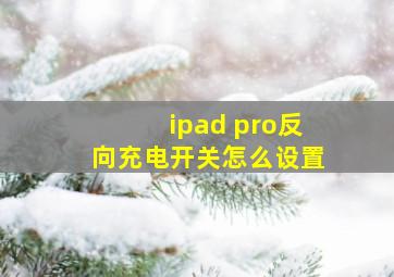 ipad pro反向充电开关怎么设置